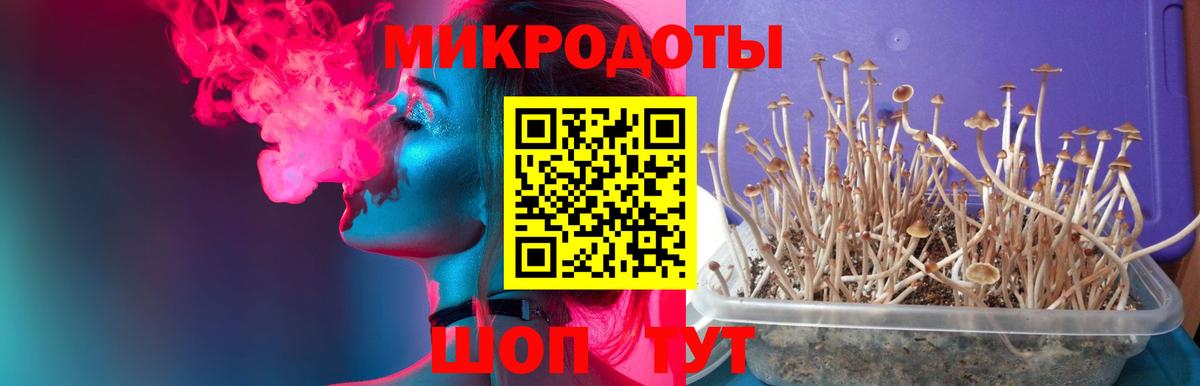 Псилоцибиновые грибы MAGIC MUSHROOMS  Вход с VPN  Сафоново  Галлюциногенные грибы прущие грибы 